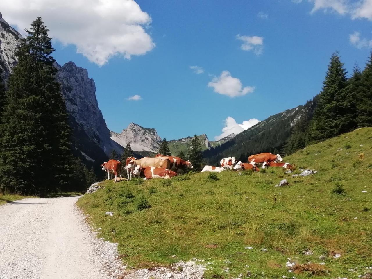 Gaestehaus Alpenblick Berwang Esterno foto